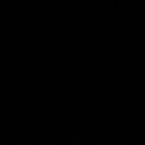 Meet your Posher, Rylee